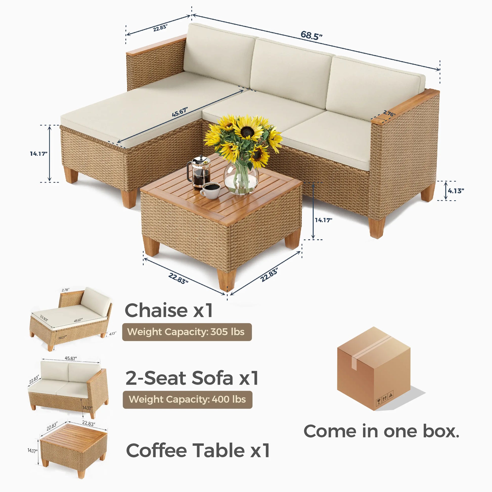 Bohemian Wicker Modular Patio Sectional Set with Integrated Storage Coffee Table
